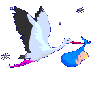 cap.gif